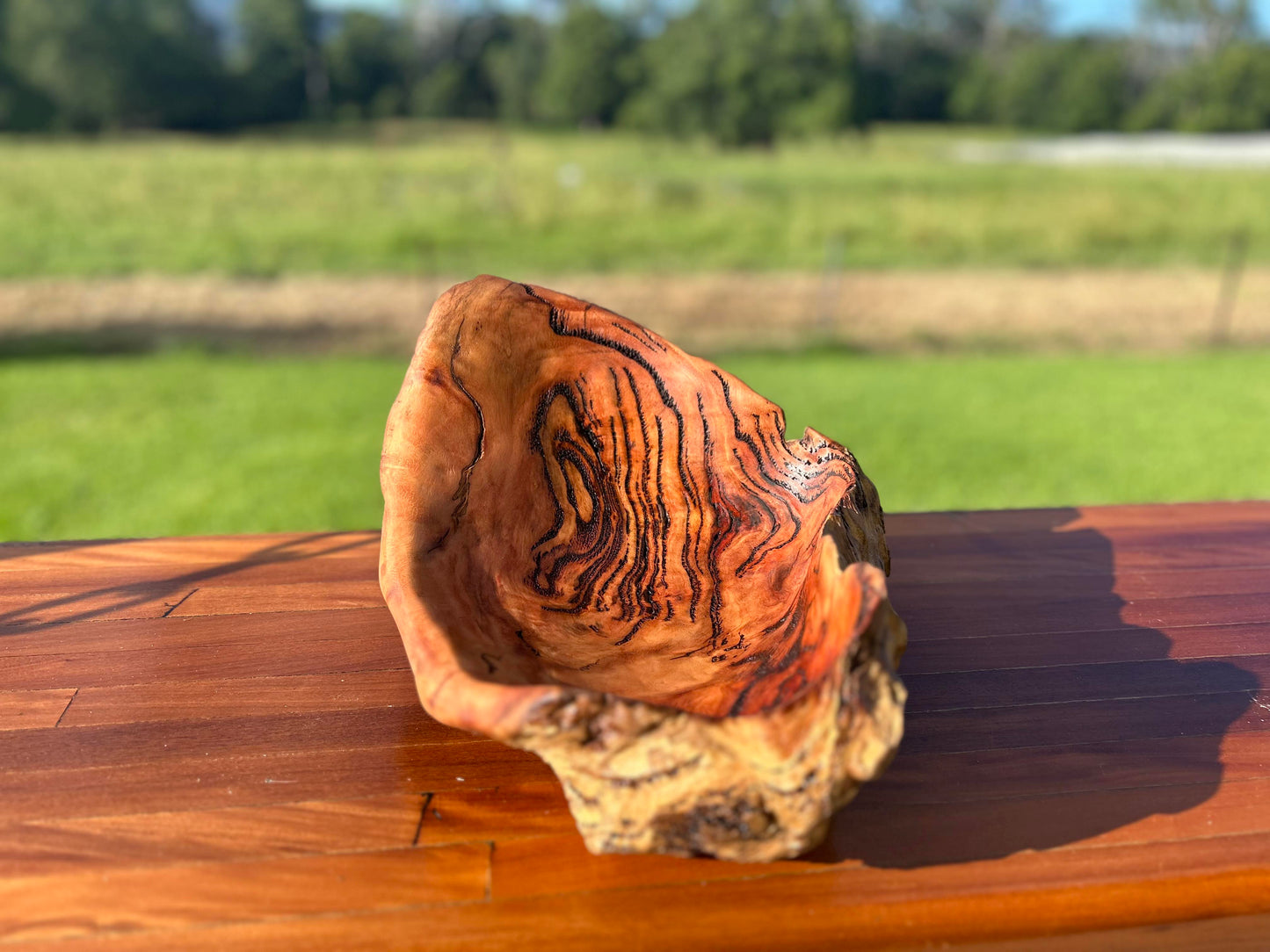 'The Oyster' Wooden Burl Bowl