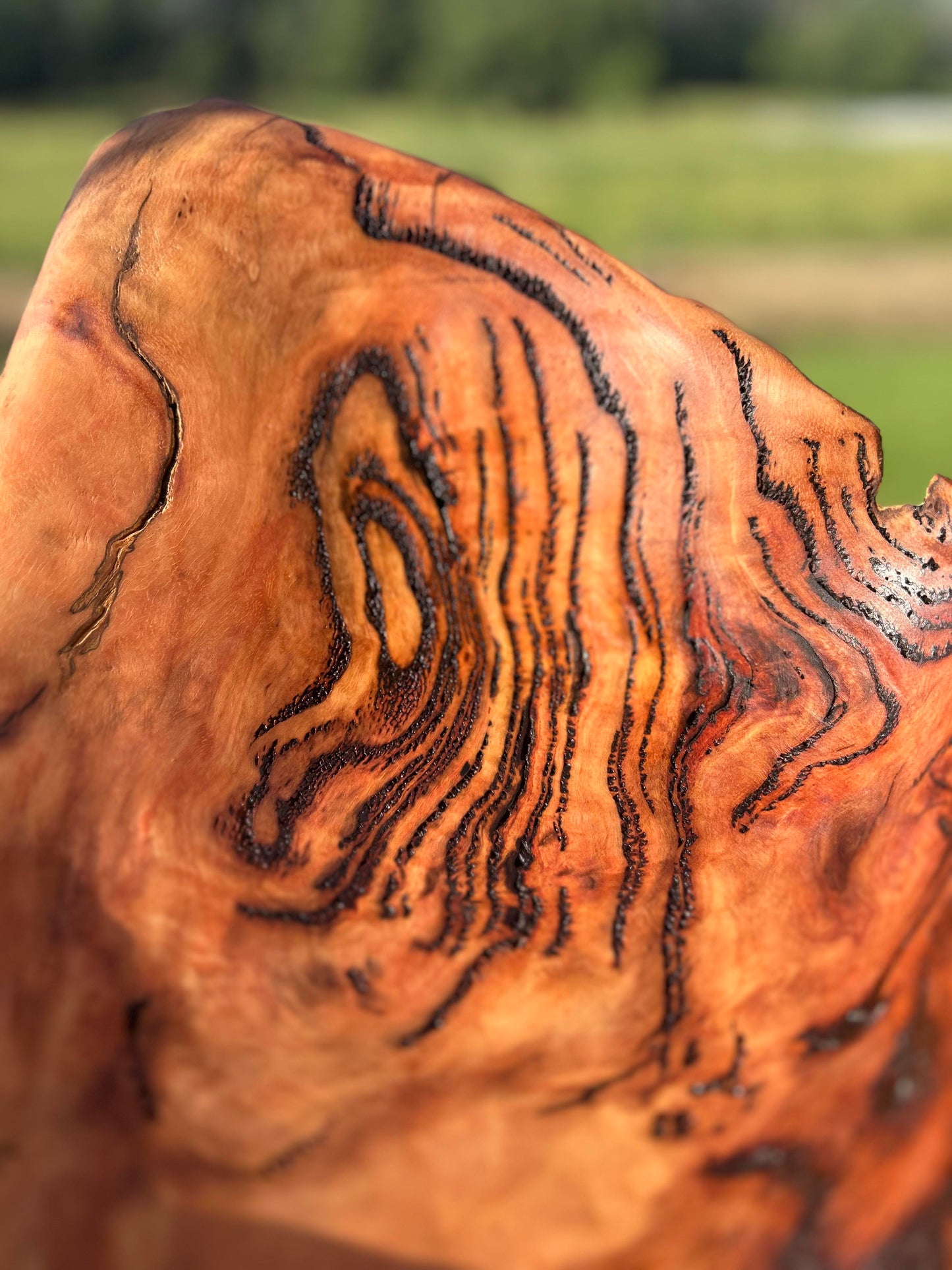 'The Oyster' Wooden Burl Bowl