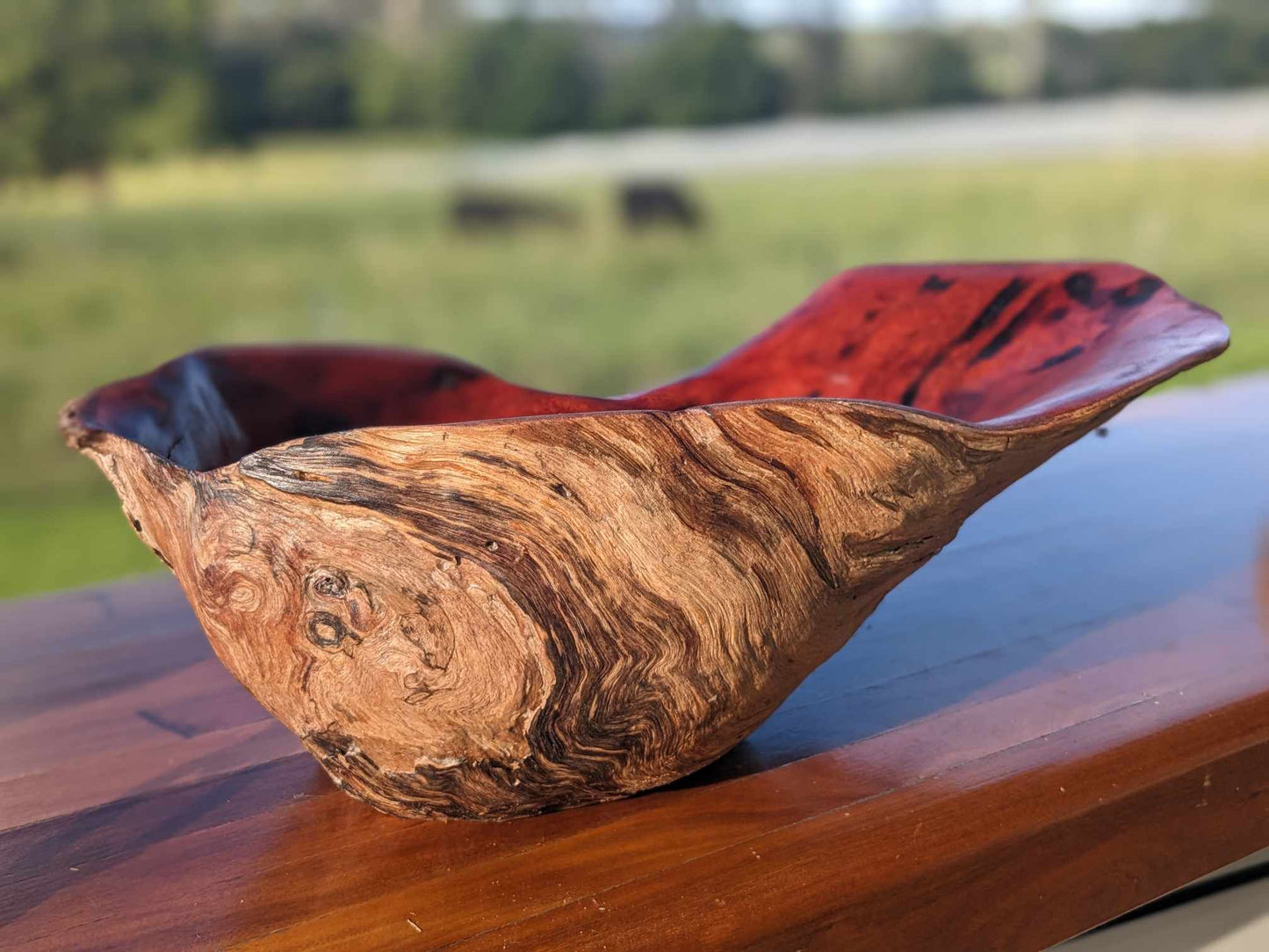 Wooden Burl Bowl