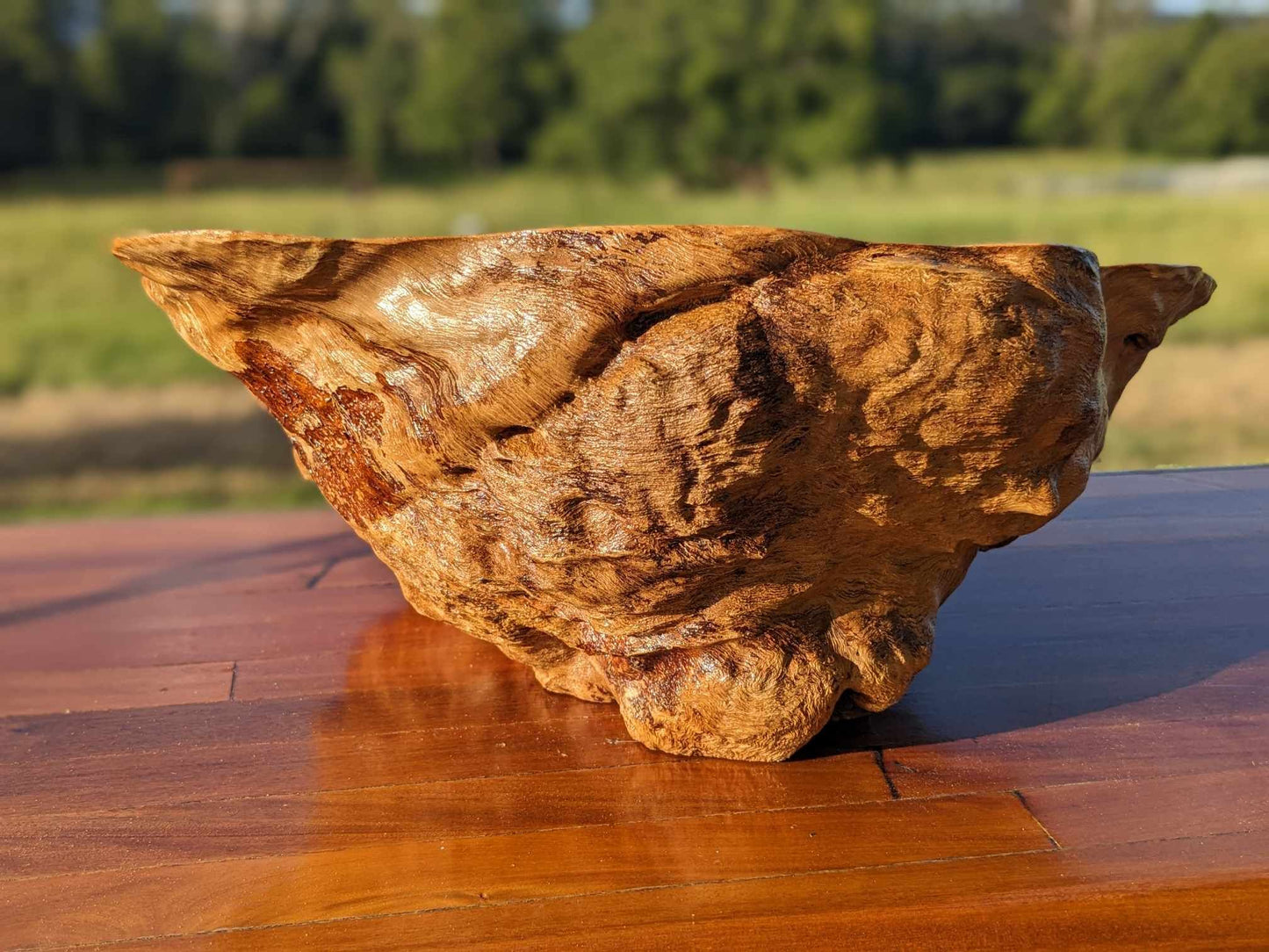 'The Clam' Wooden Burl Bowl