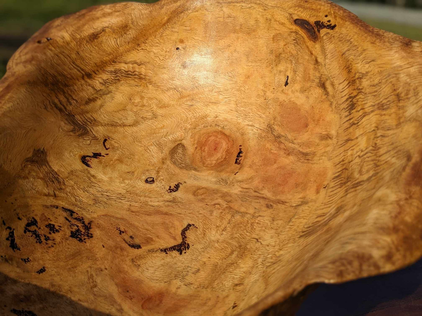 'The Clam' Wooden Burl Bowl